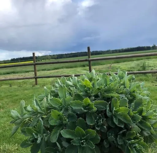 Sainte Suzanne De La Charreterie